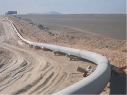 Congo Project in Local City